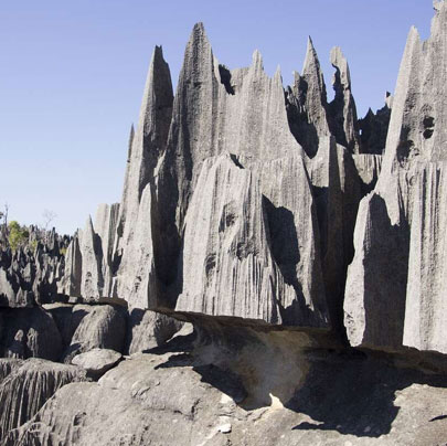 Madagascar Image