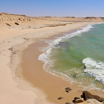 Western-Sahara Image