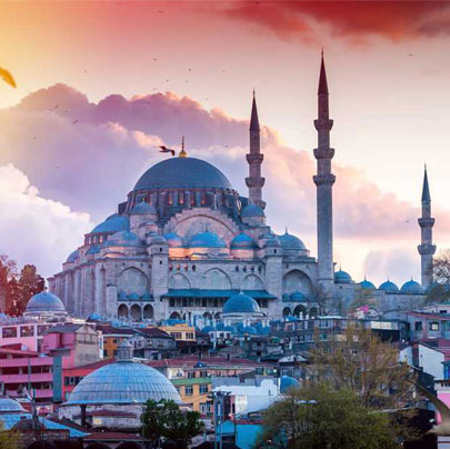 Turkey Image