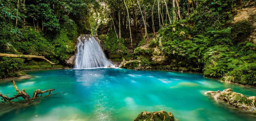 Jamaica Image