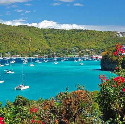 St. Vincent & Grenadines Image