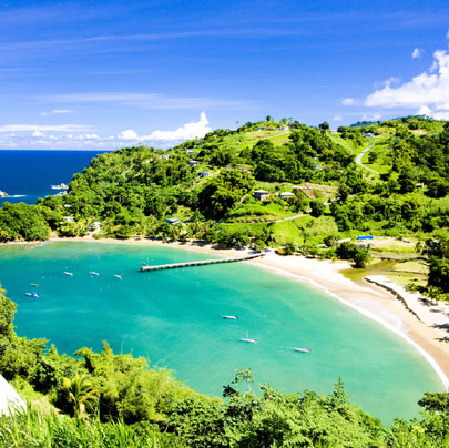 Trinidad and Tobago Image